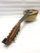 【リユース】落合マンドリンS-2 1981年