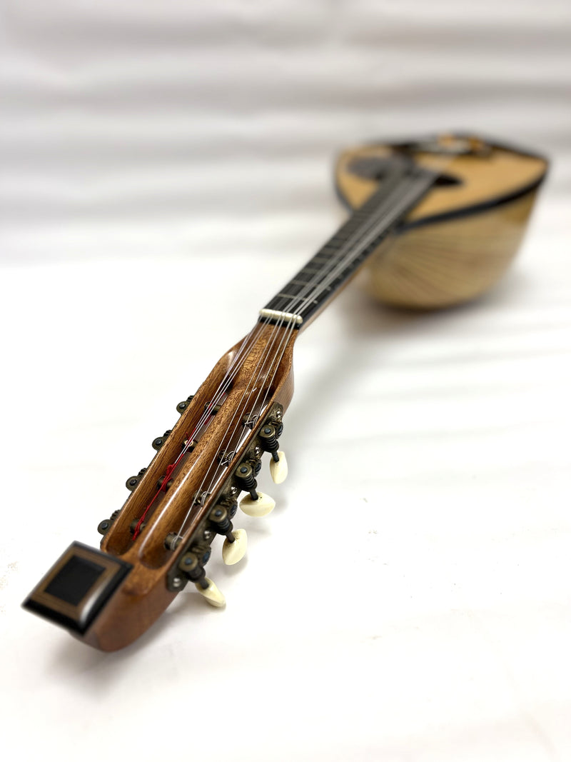 【リユース】落合マンドリンS-2 1981年