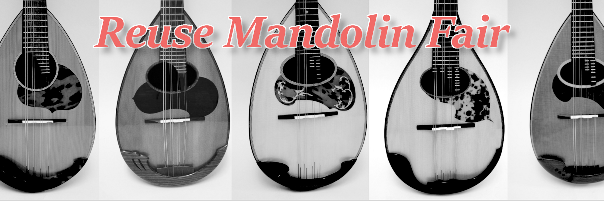 Mandolin/classical guitar specialty store Ikegaku