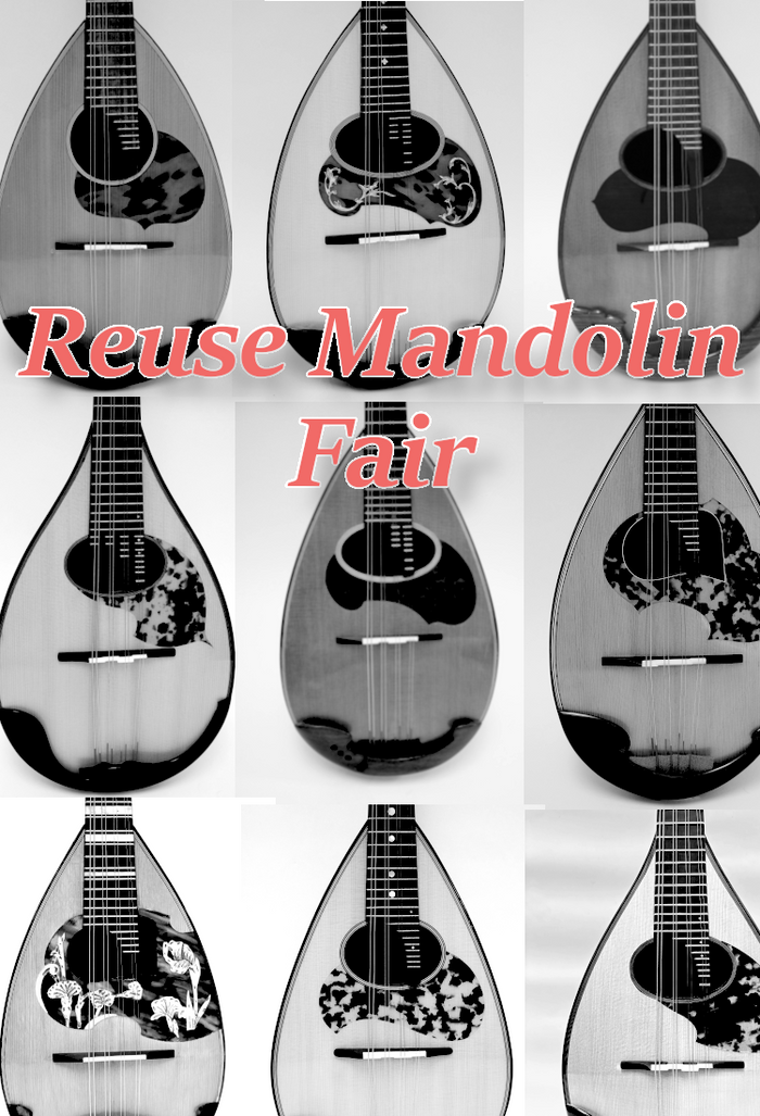 Mandolin/classical guitar specialty store Ikegaku