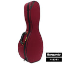 Super Light Mandolin Case