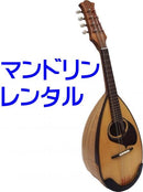 マンドリンレンタル