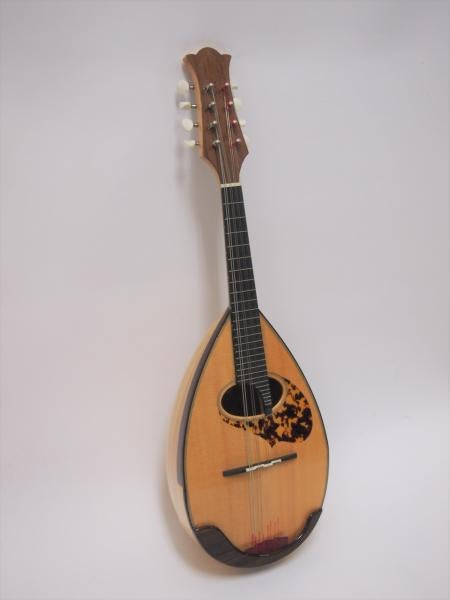 mandolin rental
