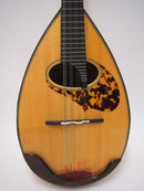 マンドリンレンタル