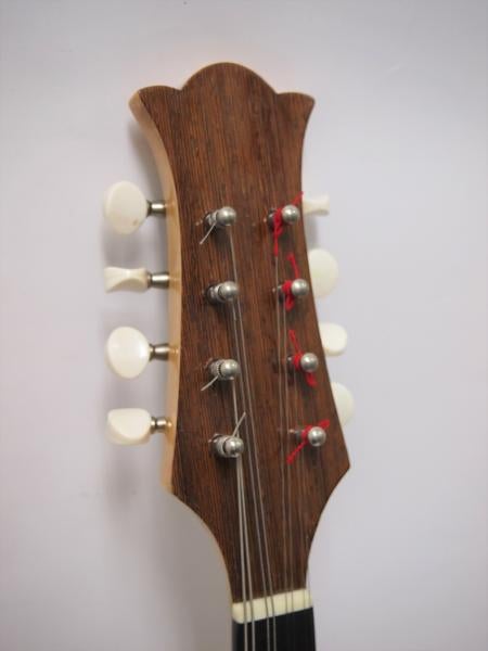 mandolin rental