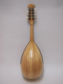 マンドリンレンタル