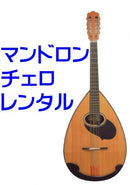 マンドロンチェロレンタル