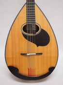 マンドロンチェロレンタル