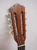 マンドロンチェロレンタル