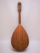 マンドロンチェロレンタル