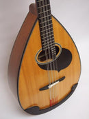 マンドロンチェロレンタル