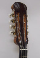 マンドラレンタル【落合マンドラD-2】