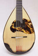 マンドラレンタル【落合マンドラD-2】