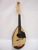 Kawada Mandolin M-40