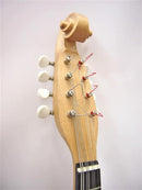 Kawada Mandolin M-40