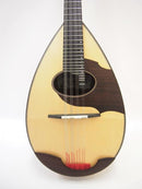 Kawada Mandolin M-40
