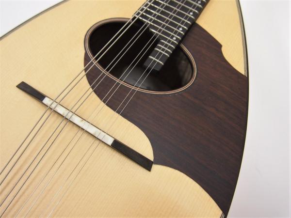 SUZUKI マンドリン M-40 川田マンドリンM-40 | イケガク