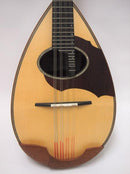 Kawada Mandolin M-40S