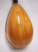 カラーチェマンドリン クラシコB