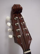 Ishikawa Mandolin No.350