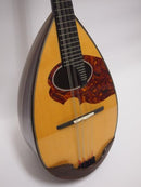 Ishikawa Mandolin No.350