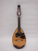 이시카와 만돌린 No.900