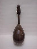 이시카와 만돌린 No.900