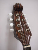 이시카와 만돌린 No.900