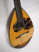 이시카와 만돌린 No.900