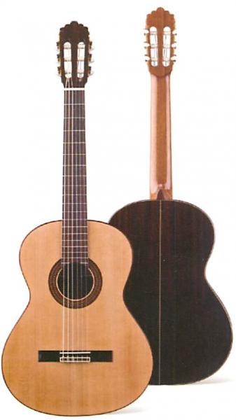 アルタミラギターN300