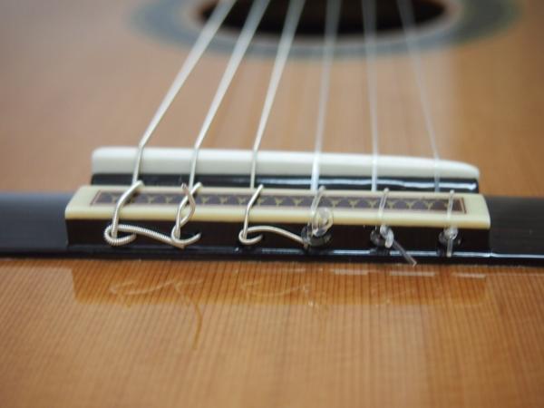 アランフェスギター710 | イケガク