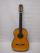 桜井河野ギター 桜井河野モデル Special