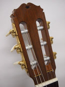 桜井河野ギター 桜井河野モデル Special