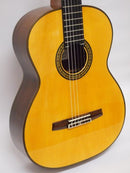 桜井河野ギター 桜井河野モデル Special