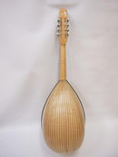 落合マンドラDS-2 大型ボディ