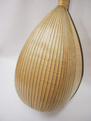 落合マンドラDS-2 大型ボディ