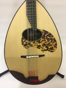 Kawada Mandoloncello C-40