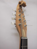 川田マンドロンチェロC-50 Bird's Eye