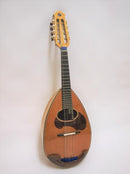 컬러 체만돌린 클라시코 D스기