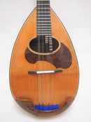 컬러 체만돌린 클라시코 D스기