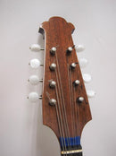 컬러 체만돌린 클라시코 B 스기