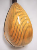 컬러 체만돌린 클라시코 B 스기