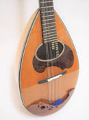 컬러 체만돌린 클라시코 B 스기