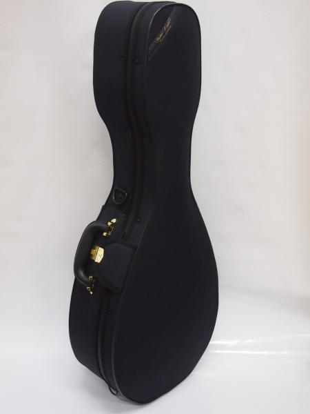 Super light case (for mandolin)