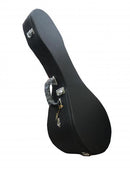 hard case for mandolin