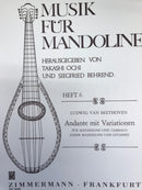 [Imported music] Beethoven: Andante and Variations (D major) WoO44b