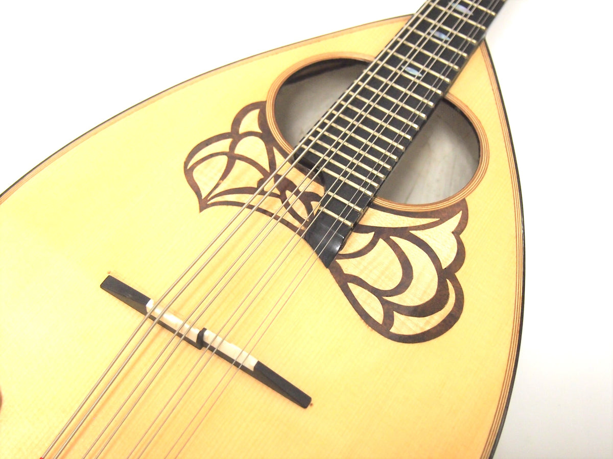 カラーチェマンドラRipa | イケガク