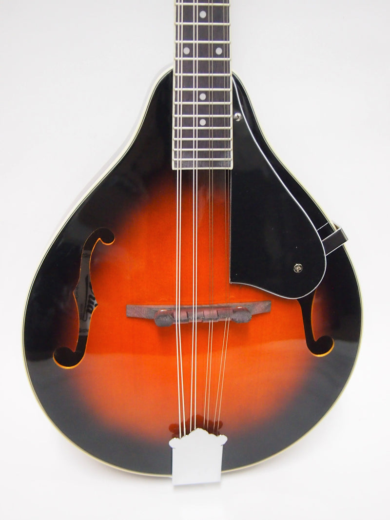 ARIA flat mandolin AM-20