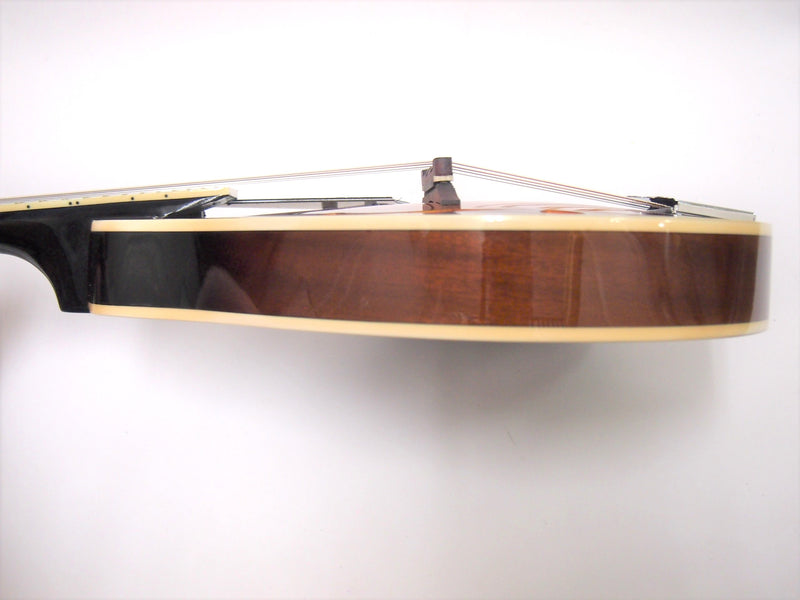ARIA flat mandolin AM-20