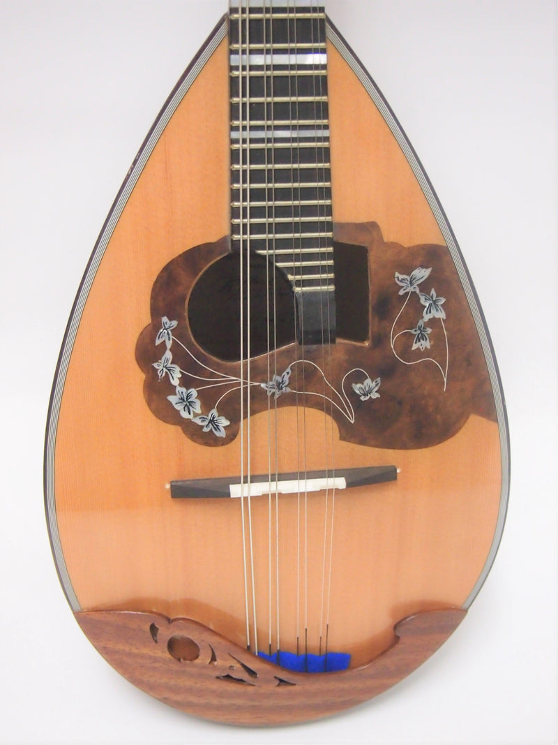 Calace Mandolin No.13 Cedar